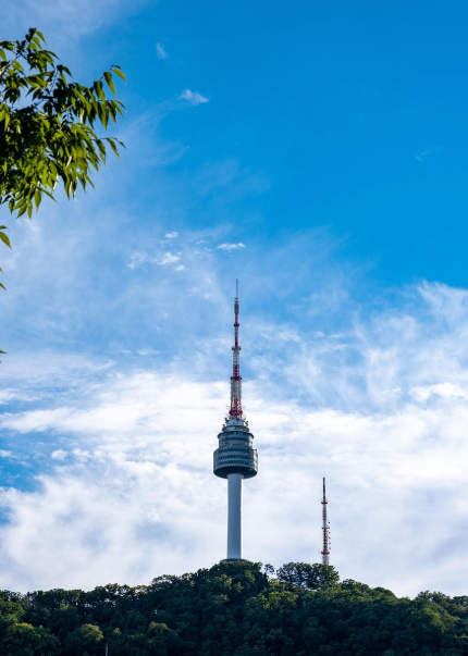 서울 남산공원의 벚꽃 명소 가이드