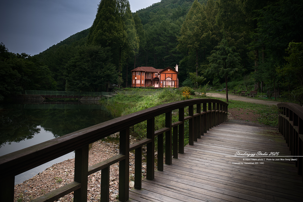 #논산 #벌곡 #온빛자연휴양림 #온빛 #연못 #꽃 #메타쉐콰이어