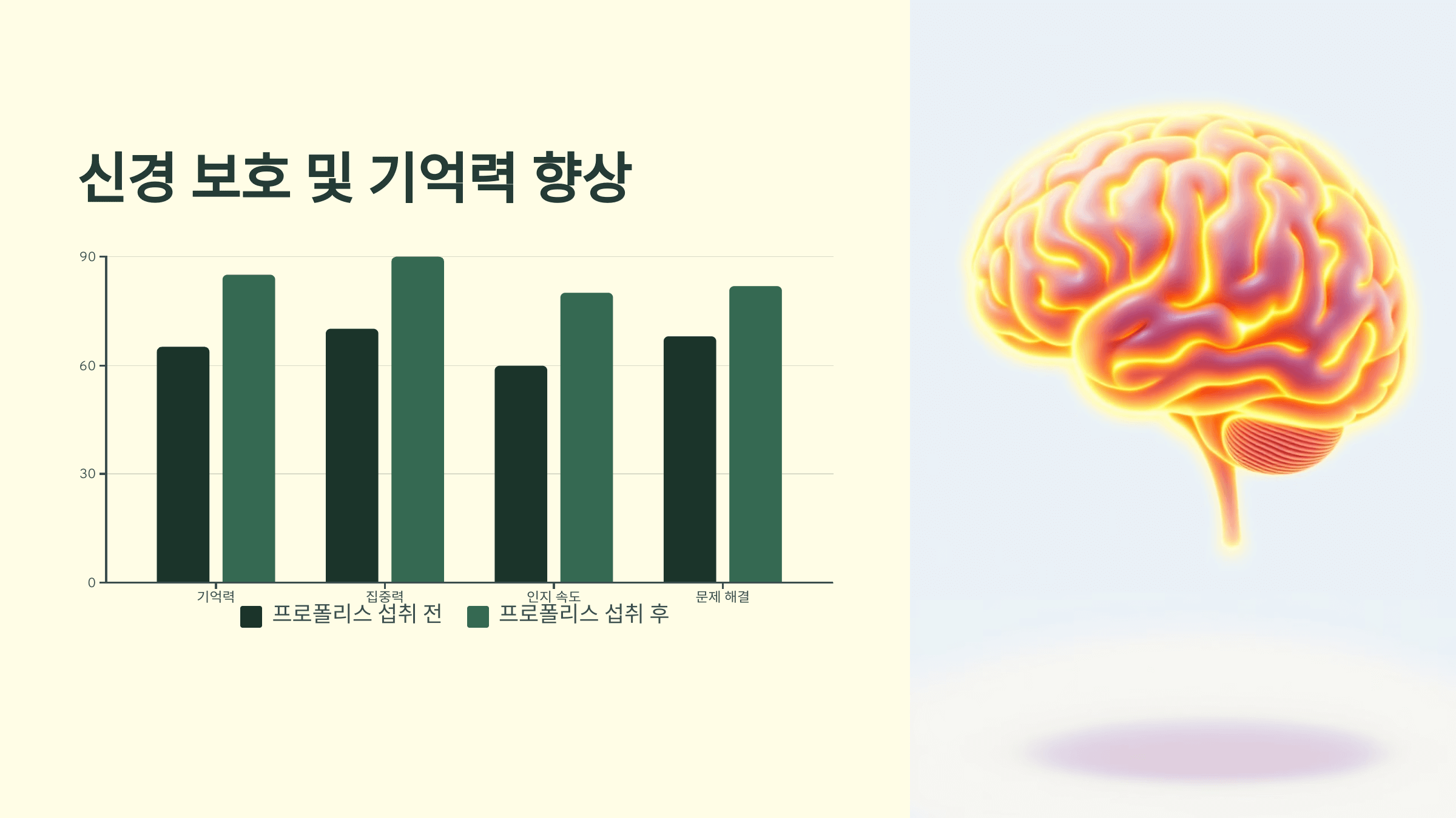 프로폴리스와 관련된 사진입니다.