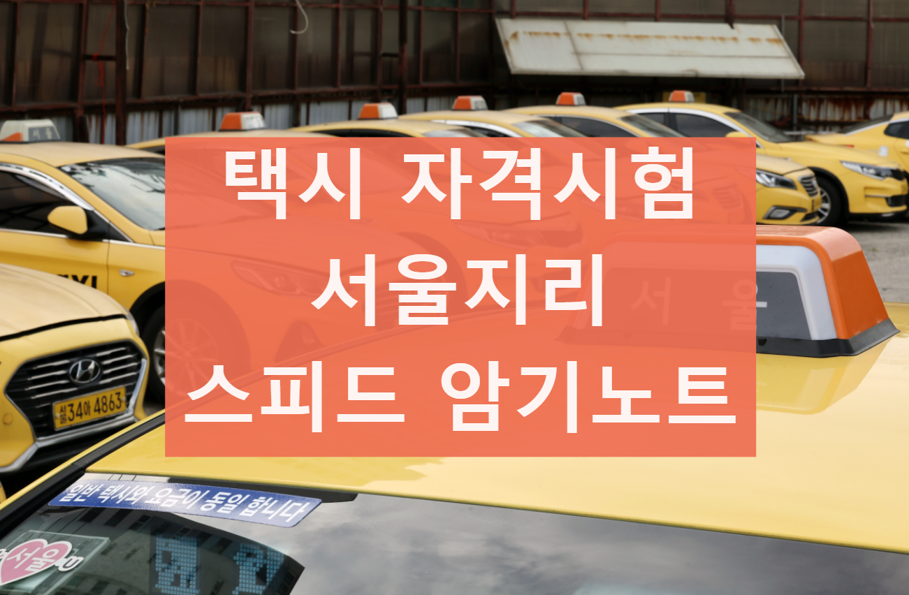 택시운전 자격시험 서울지리