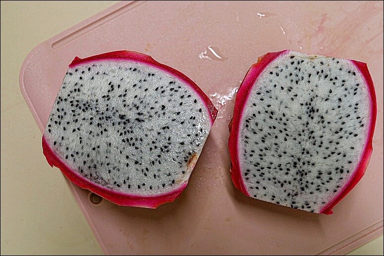 용과 먹는 법