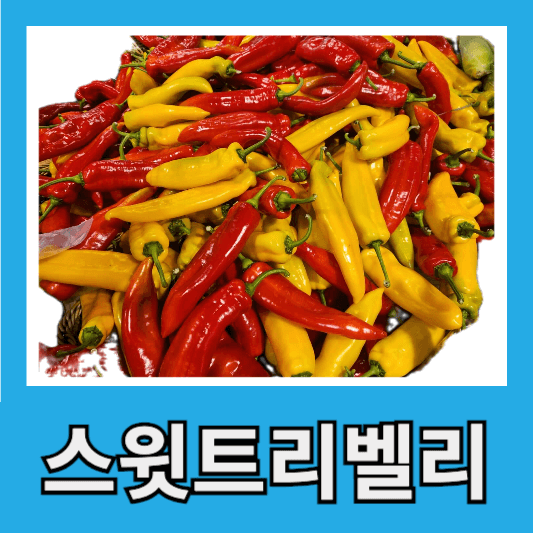 스윗트리벨리 파프리카 효능 가격 백종원 후랑크 소세지 볶음 레시피