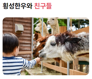 횡성 한우축제