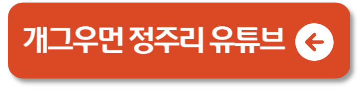 정주리 다섯째 임신 발표 자녀 성별 인스타 유튜브 1