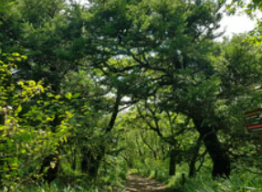 점봉산 곰배령 탐방예약 꿀팁(선착순) 코스안내
