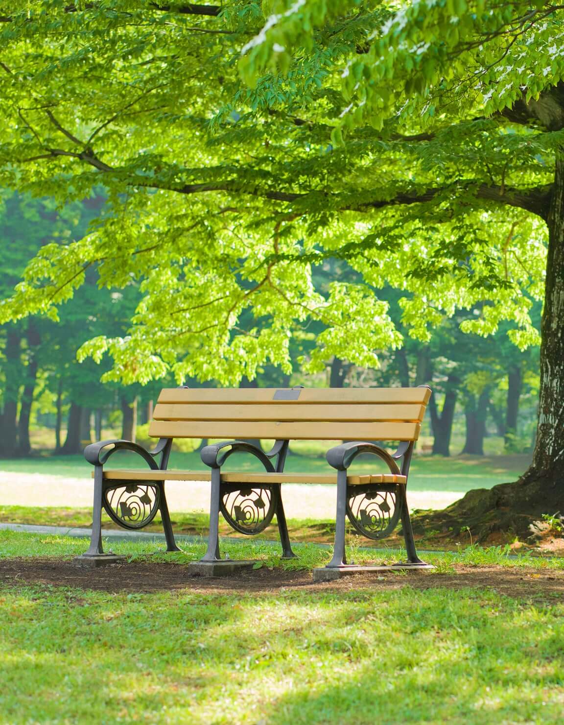 호원 센트럴 아이파크 무순위 청약 &ndash; 청약통장 없이 신청 바로 가기