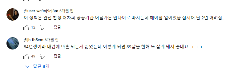 네티즌 의견