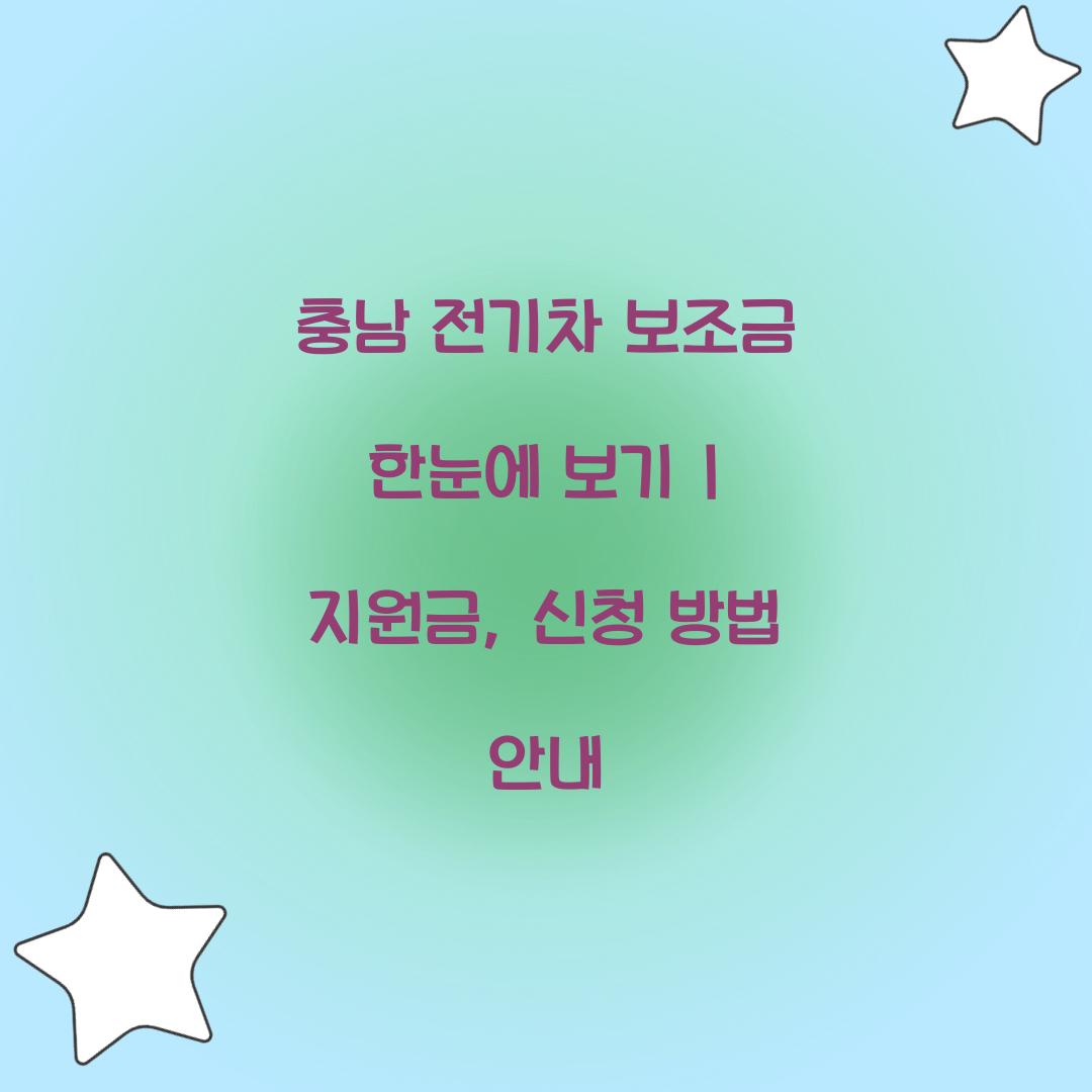 충남 전기차 보조금