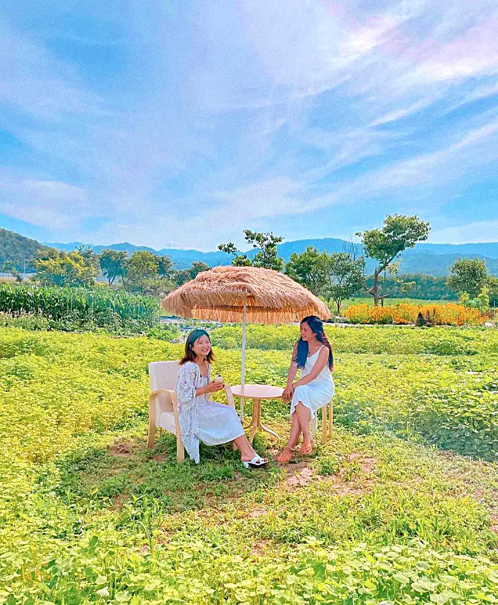 생방송오늘저녁 양양 인구해수욕장 죽도해변 맛있는 브런치 디저트 카페 추천 메밀 크림 라떼와 바질크림 메밀뇨끼 맛집