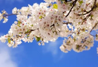 4월 기도문 모음 대표 기도문 추천 10선_29