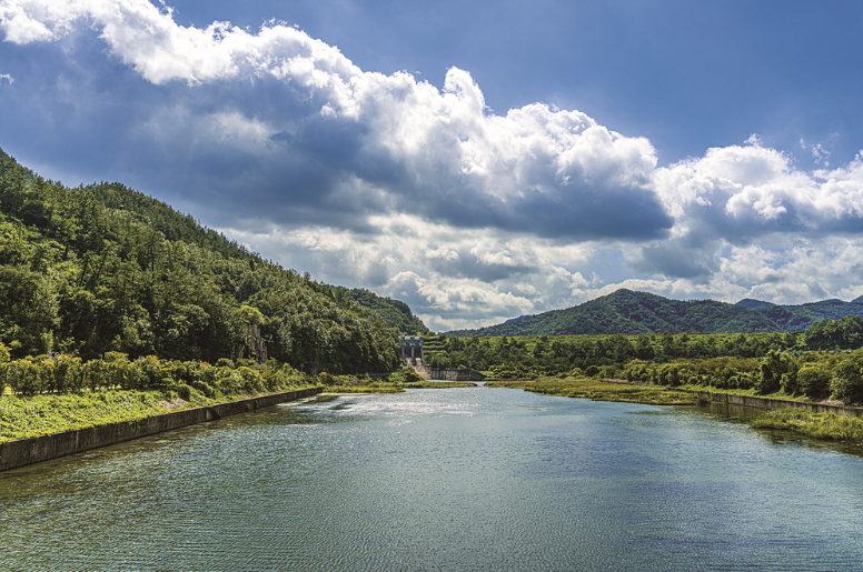 장흥 1인에게 맞는 동네 선택 가이드