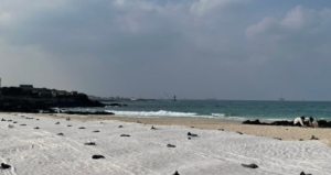 2024년 제주도 해수욕장 BEST 12