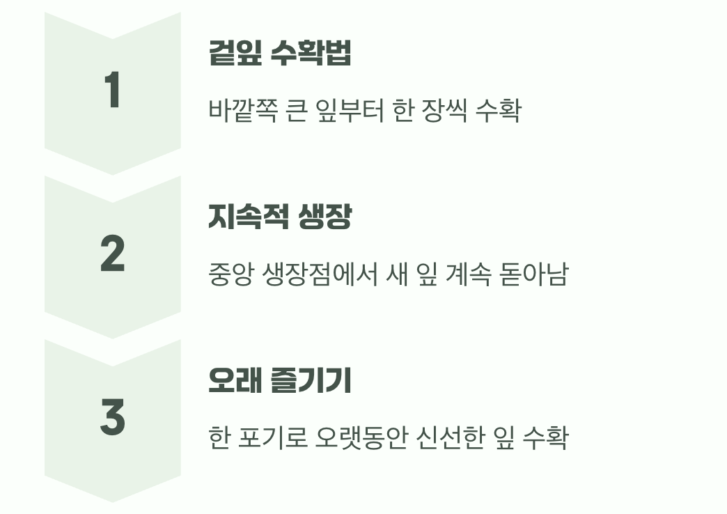 한 포기로 계속 즐기는 수확의 지혜