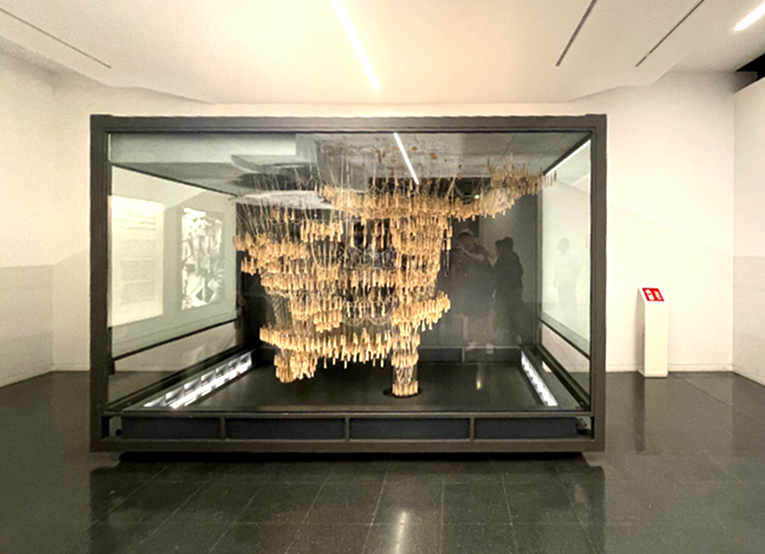 성당 지하공간-성당의 컨셉, 구성