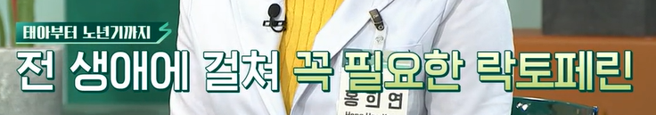 락토페린