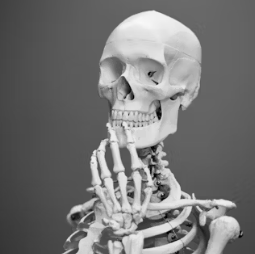 칼슘 영양제 먹는시간 효능 부작용