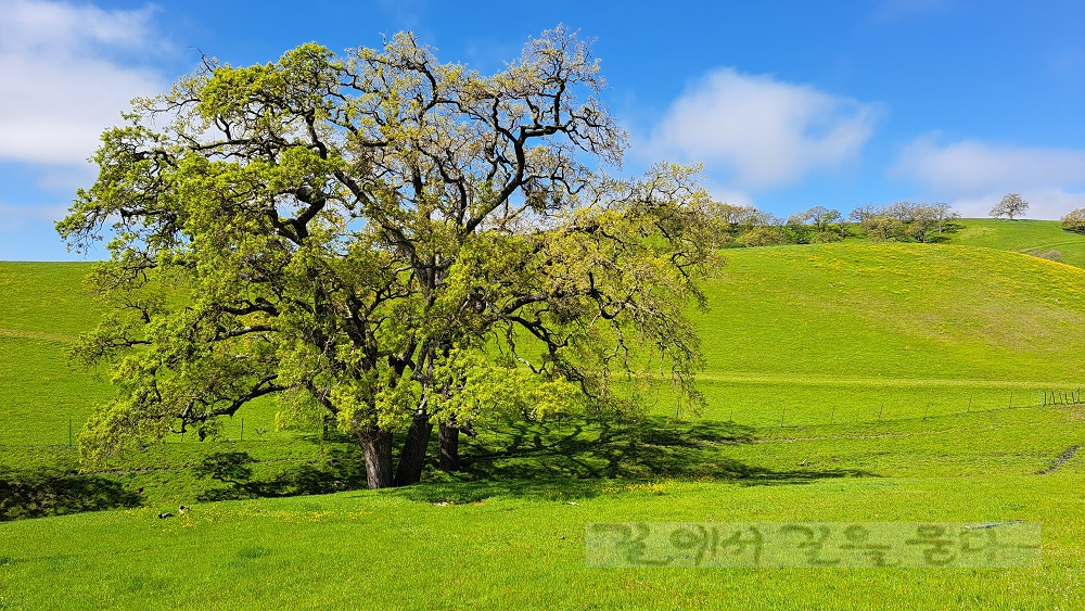 Sunol Regional Wilderness