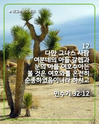 민수기 32장 설교 아이디어 구약 말씀 강해_16