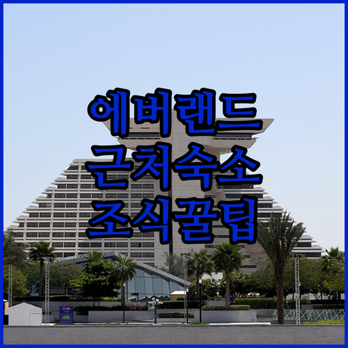 에버랜드 근처 숙소 5곳 비교 분석 ..
