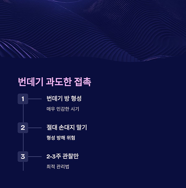 번데기 관찰 시 과도한 손대기