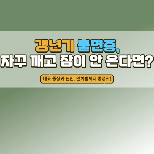 갱년기 불면증
