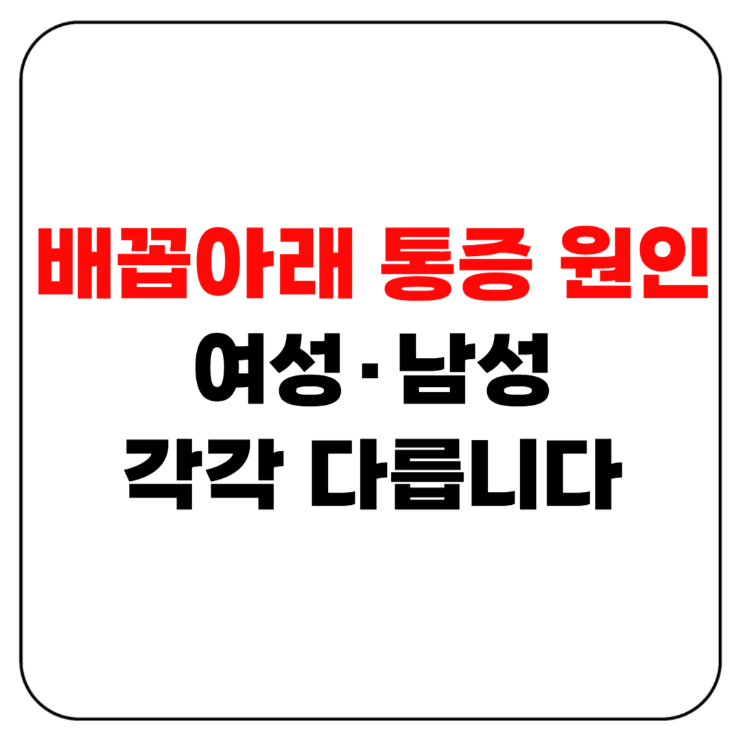 배꼽아래 통증 원인 총정리! 여성·남성 각각 다릅니다