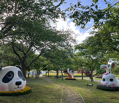 함평나비축제 일정&amp;#44; 초대가수&amp;#44; 입장료 할인정보🦋 