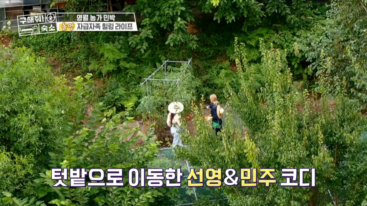 구해줘숙소 영월 내 마음의 외갓집 06