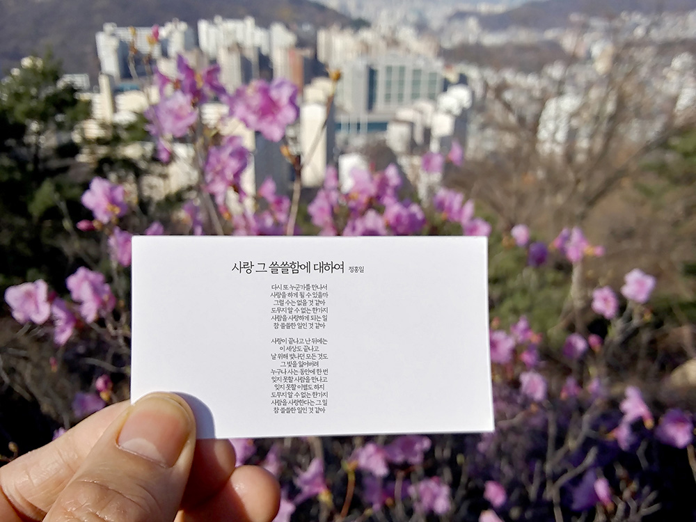 정홍일의 사랑 그 쓸쓸함에 대하여