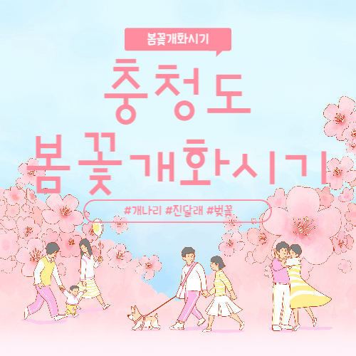 2023 충청도 벚꽃개화시기 진달래 개화시기 개나리개화시기