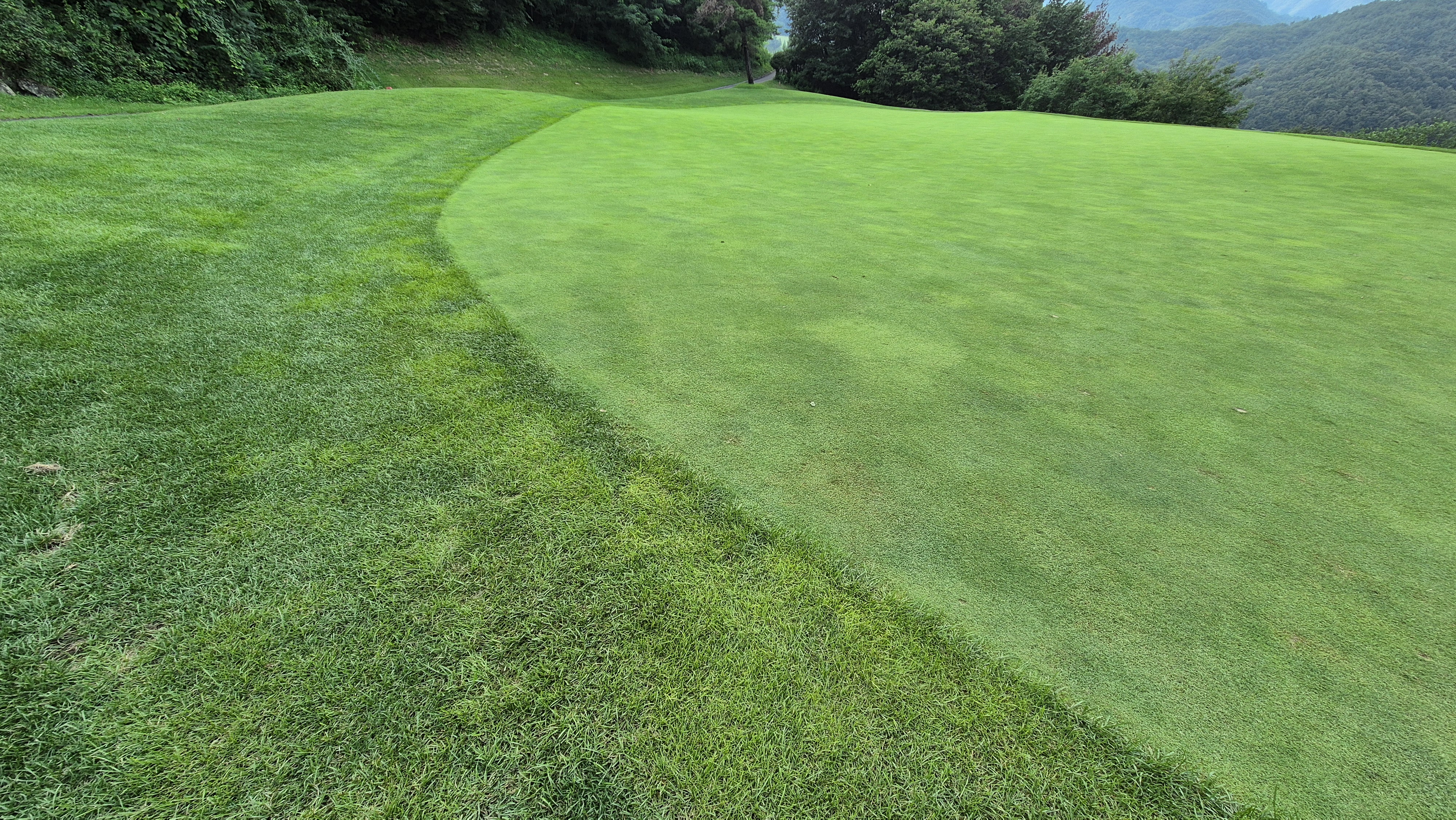 동원썬밸리cc 라운드 후기