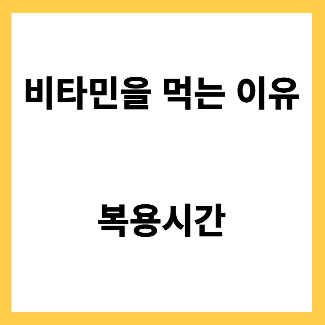 비타민을 먹는 이유와 복용시간