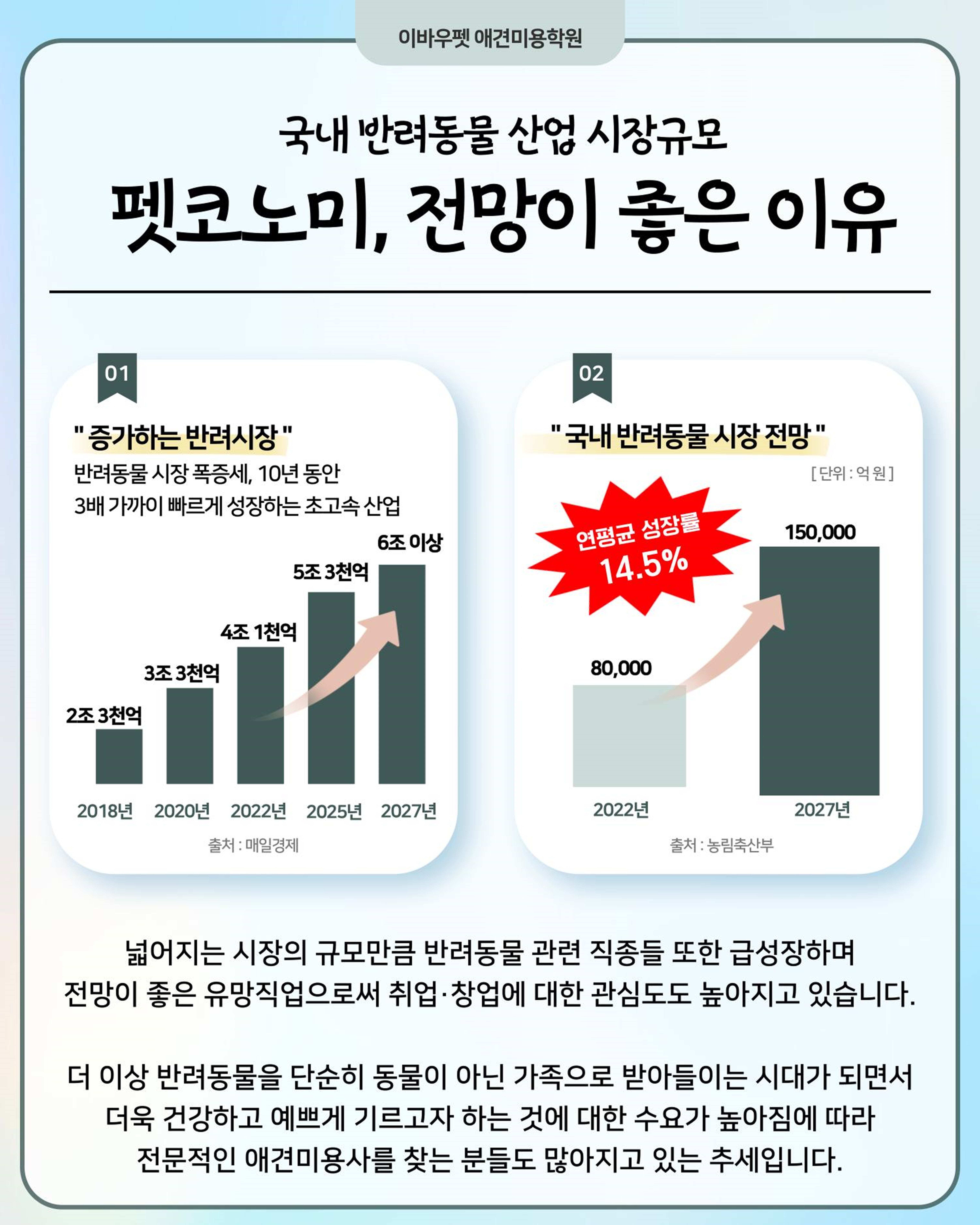 부산강아지미용자격증