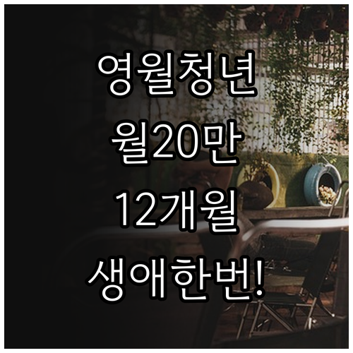 영월군 청년월세지원 생애한번 월20만..