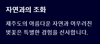 제주도 벚꽃 개화시기 2025