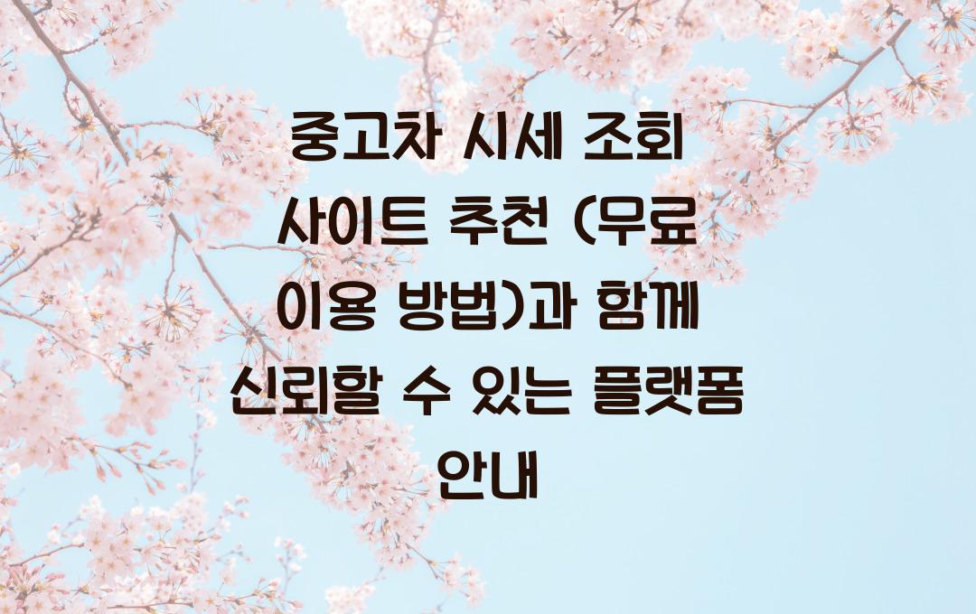 중고차 시세 조회 사이트 추천 (무료 이용 방법)