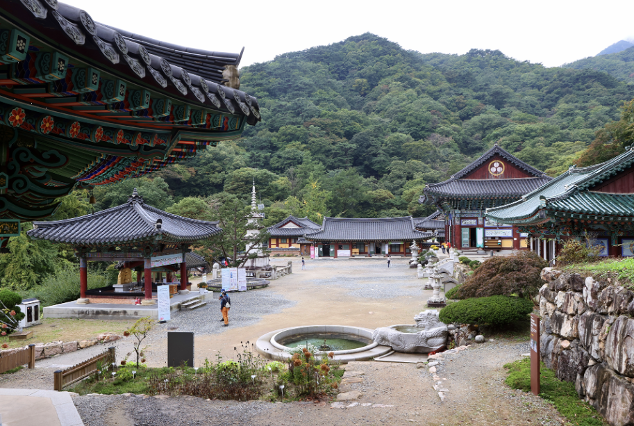 용문산 용문사 이미지