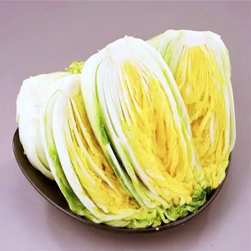 생활의달인 해남 해풍 절임 배추 달인 전국 택배 온라인 주문 방법 상세 정보 다시보기