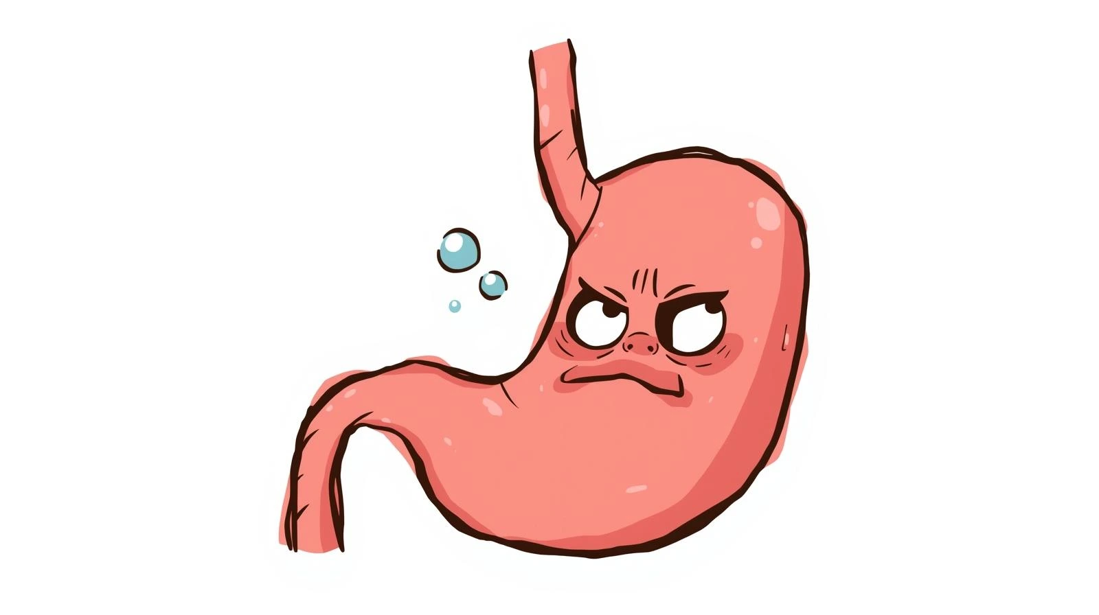 anxiety-digestion-cycle