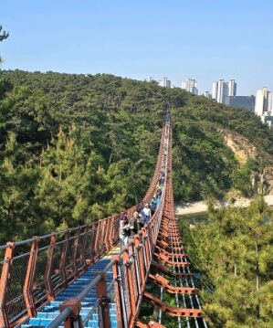 생생정보 [장PD의 AI 여행기] AI가 추천하는 울산 가족 여행 울산쇠부리축제&amp;#44; 대왕암공원 출렁다리&amp;#44; 요트탈래울산&amp;#44; 한정식 보석돌 엄마의 정원까지 울산 북구&middot;동구 필수코스를 생생정보 장PD와 함께 확인하세요