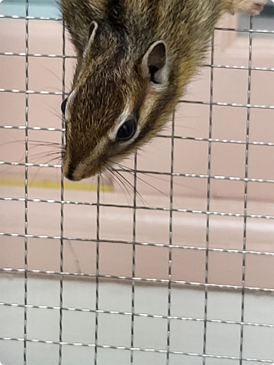 저리 안가냐?