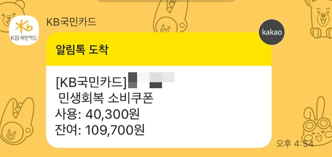 민생회복 소비쿠폰 사용 알림