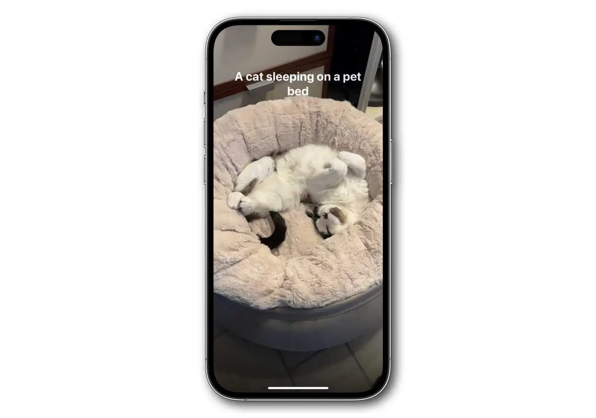 AI가 작동하는 모습보기