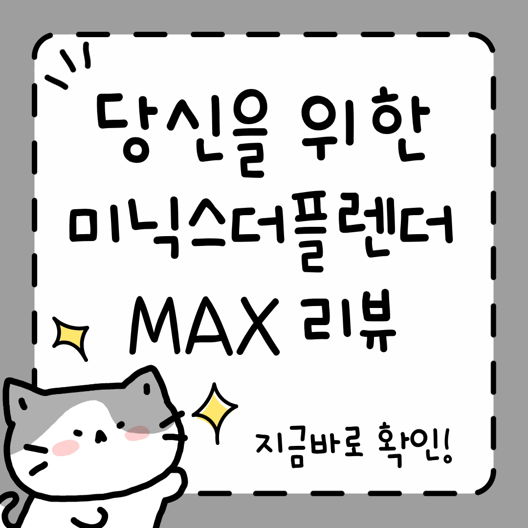 미닉스더플렌더MAX