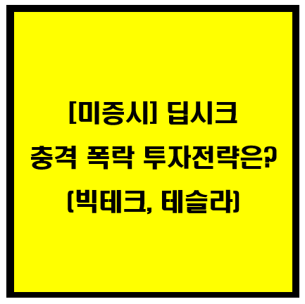 미증시, 딥시크 충격 폭락 투자전략은? (빅테크, 테슬라) 이미지