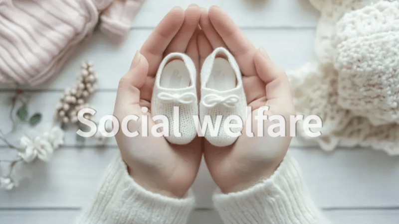 지방자치단체 출산 사회 복지 정책