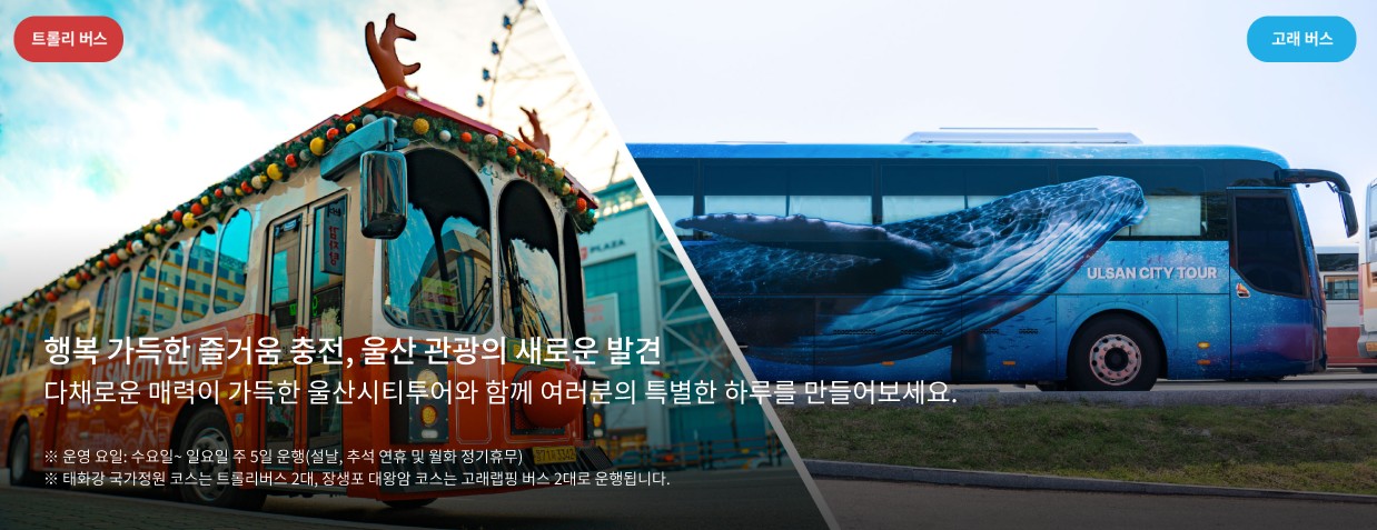 울산 시티투어 버스 완벽 정리｜노선&middot;시간표&middot;요금&middot;코스까지 한 번에 관련 사진