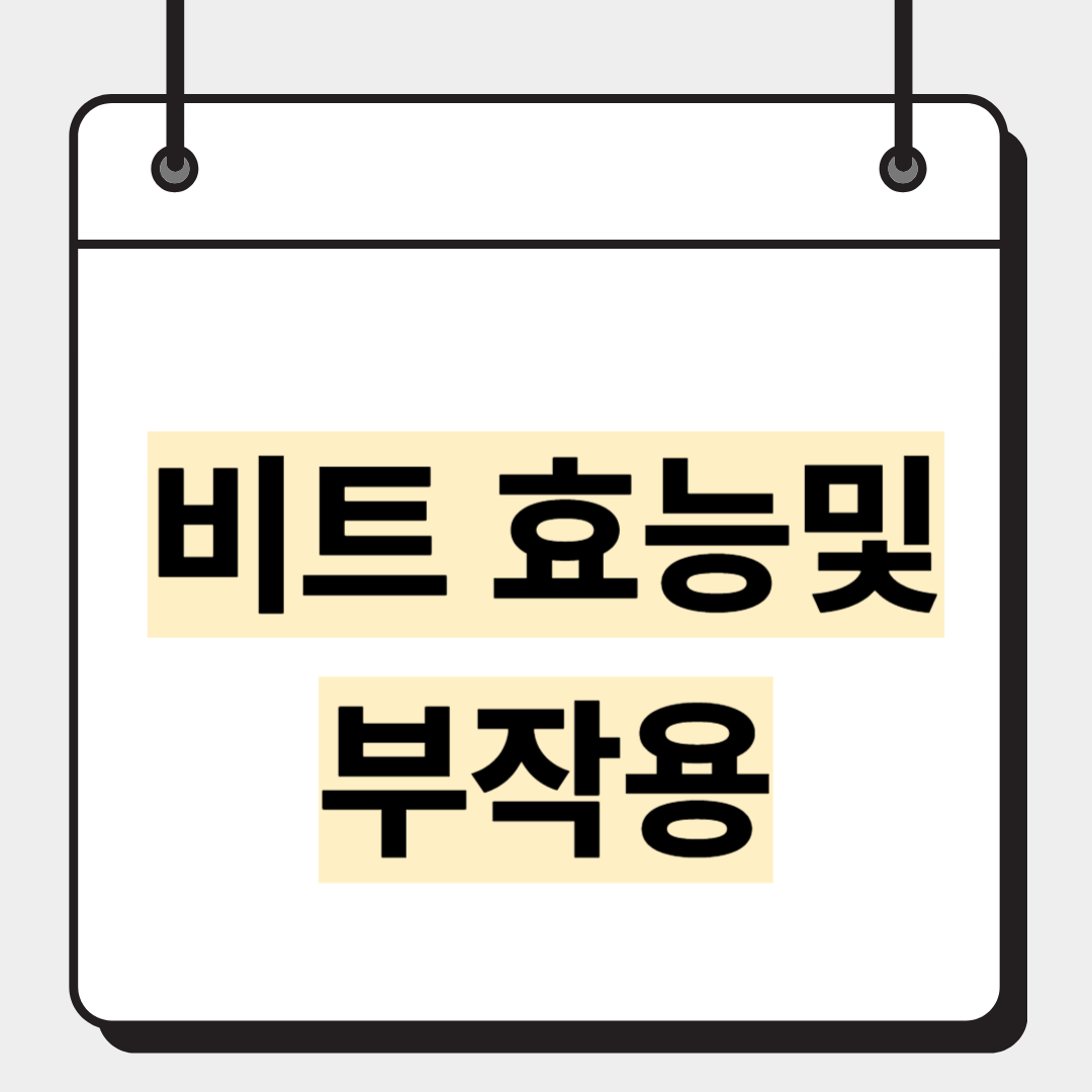 비트 효능및부작용