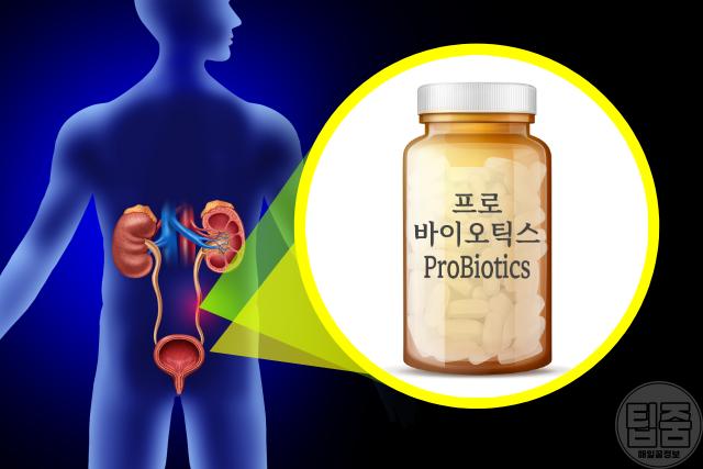 방광 영양제 프로바이오틱스 비뇨기과 전문의 추천