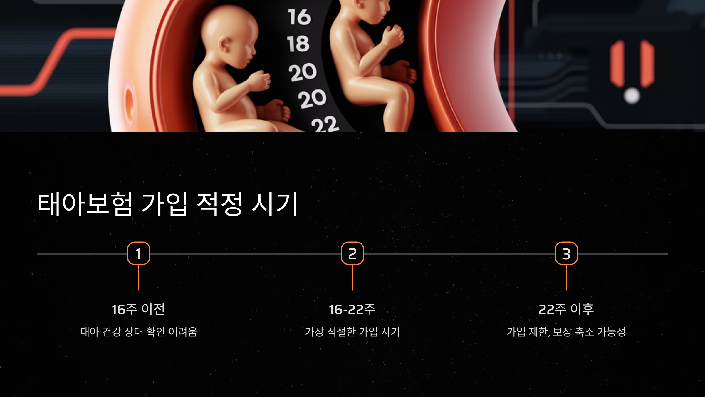 태아보험 가입 적정 시기